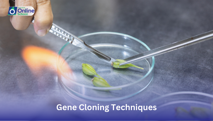 Lesson 02: Describing Gene Cloning Techniques